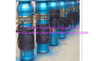 China Diving Type Cast Iron Underwater Fountain Pumps For Water Fountains Flange Connect manufacturer