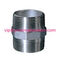 Stainless Steel NPT BSP Two Sides Male Thread Connector For Fountain Frame DN15 - DN200 Pipe Nipple factory