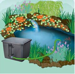 Durable Biological UV Pond filter / Garden Filters for 4m³ Fish Ponds or Swimming Pool