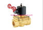 Two Ways Solenoid Valve Water Fountain Equipment Underwater Type AC24V SS And Brass Material factory